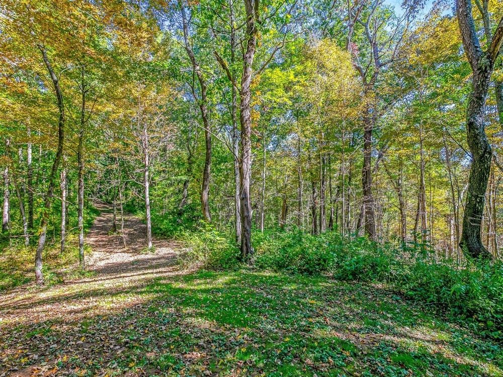 237 Ratcliff Cove Rd., Waynesville, NC 28786